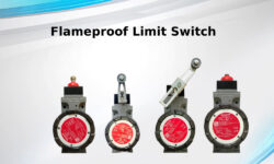 Flameproof limit switch